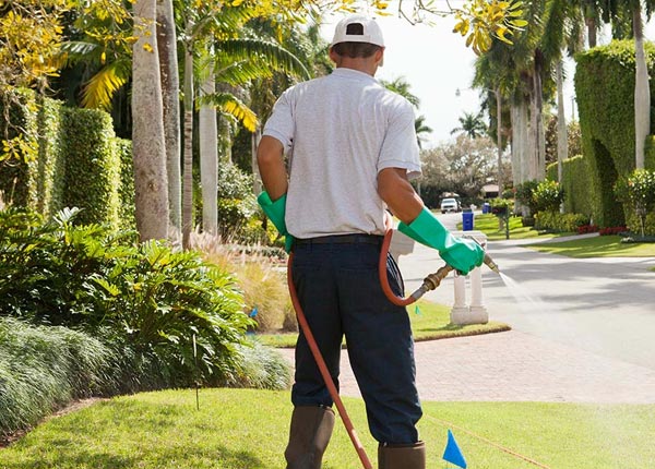 About Bagdad FL Pest Control Pros